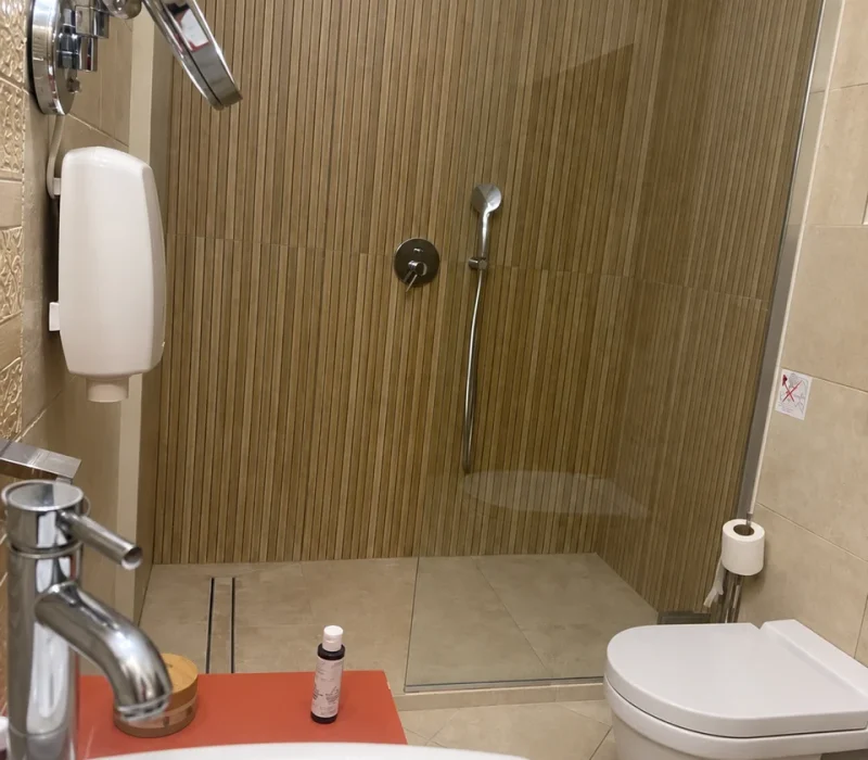 Thalassa suite bathroom with walk-in shower, basin and toilet — Avalon Boutique Suites Hotel