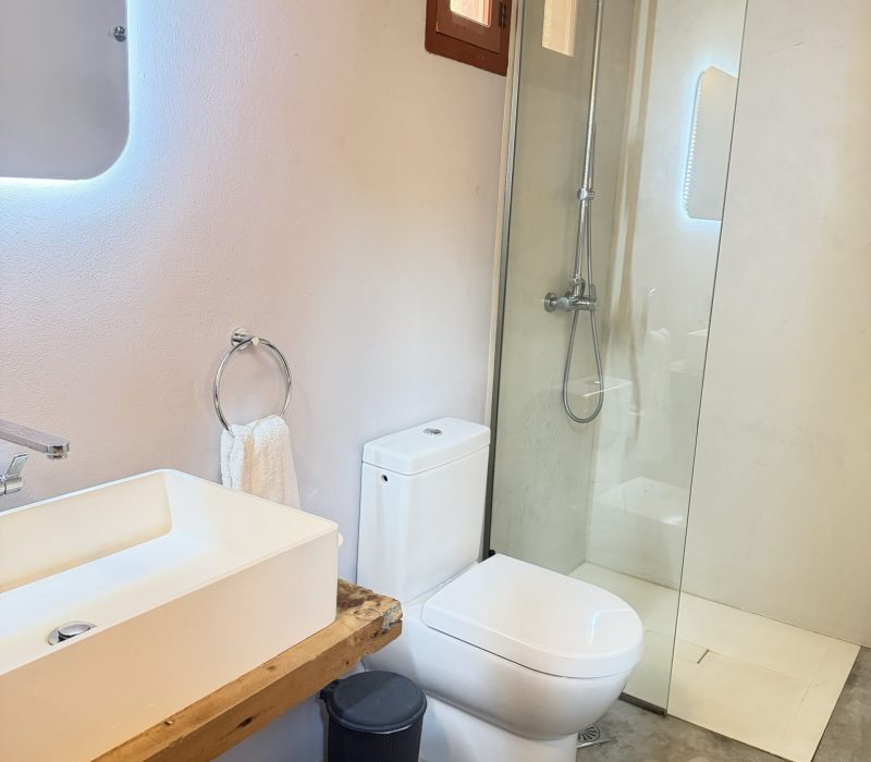 Daphne Junior Suite bathroom with a white basin on a wooden shelf and glass shower