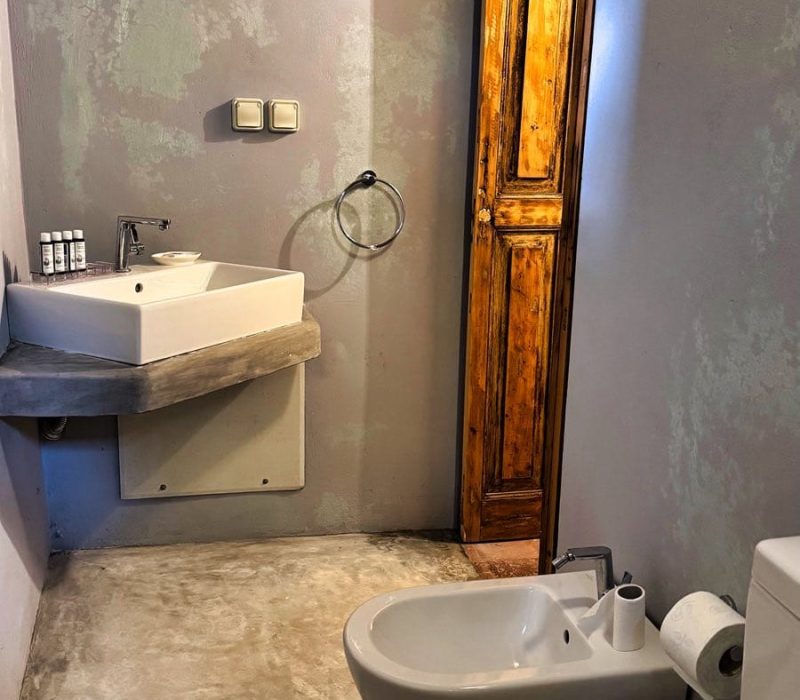 Iris Junior Suite bathroom with a white basin and shower